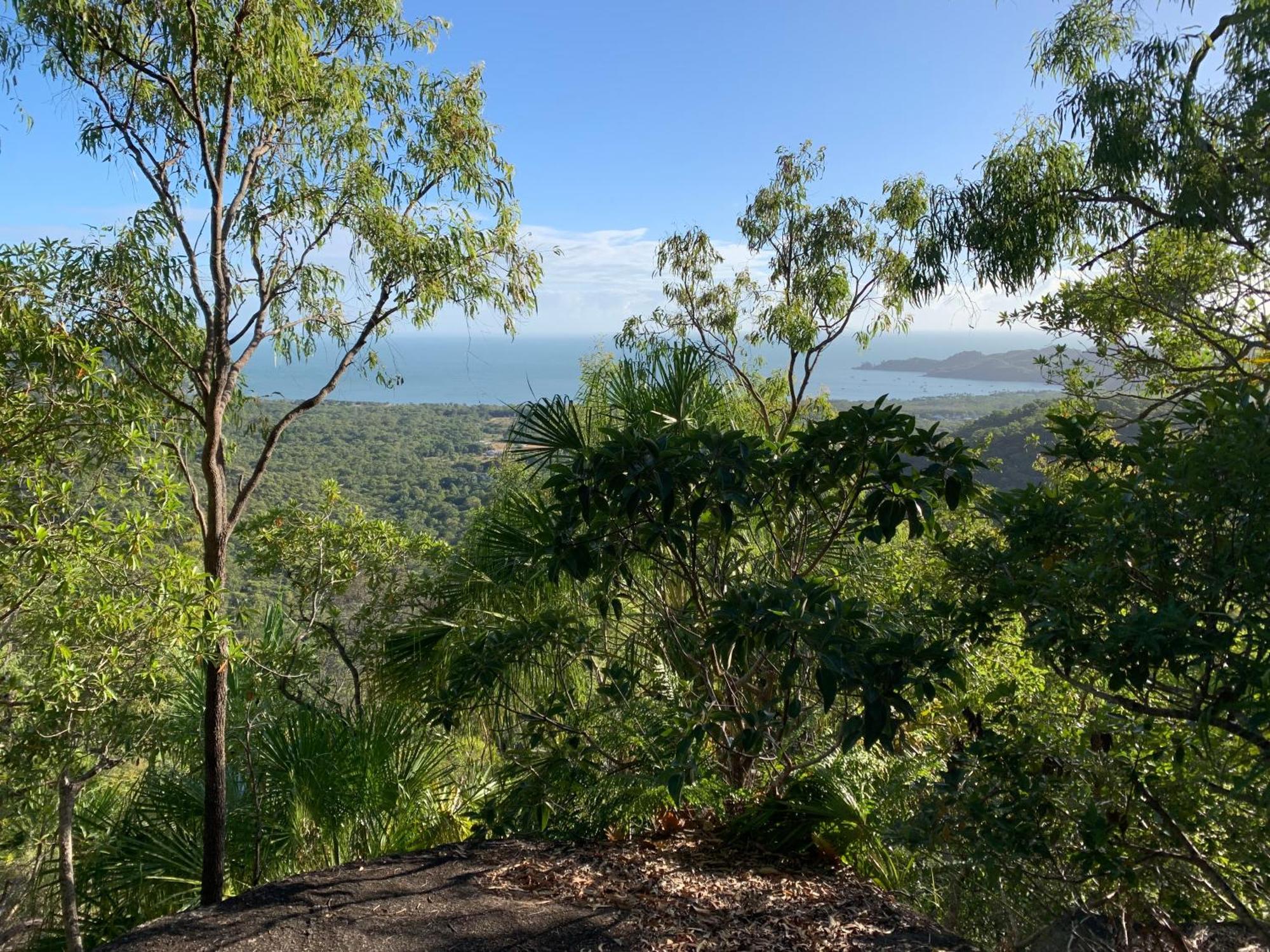 Shambhala Retreat Magnetic Island Cottages Nelly Bay Ngoại thất bức ảnh