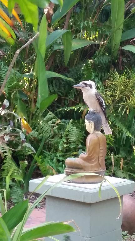 Shambhala Retreat Magnetic Island Cottages Nelly Bay Ngoại thất bức ảnh