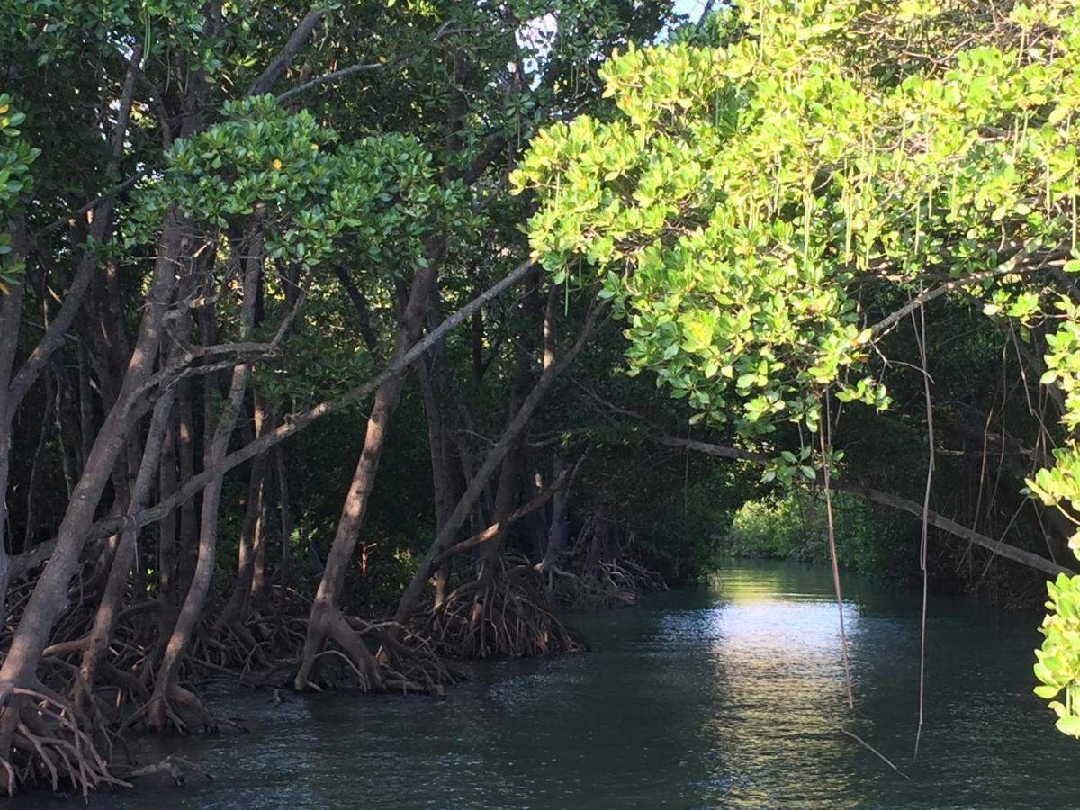 Shambhala Retreat Magnetic Island Cottages Nelly Bay Ngoại thất bức ảnh
